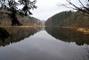DSC_7950.JPG