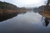 DSC_7987.JPG