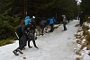 D71_2754.jpg