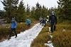D71_2784.jpg