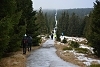 D71_2831.jpg