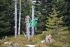 D71_2832.jpg