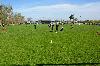 D71_6480.jpg