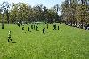 D71_6617.jpg