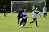 D71_9550.jpg