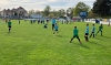 d09.jpg