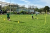 d10.jpg