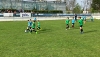 d17.jpg