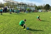 d19.jpg